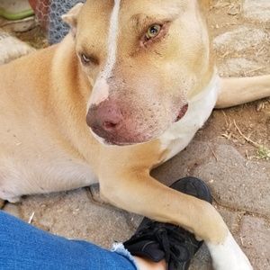 Meet your Posher, Tiffany